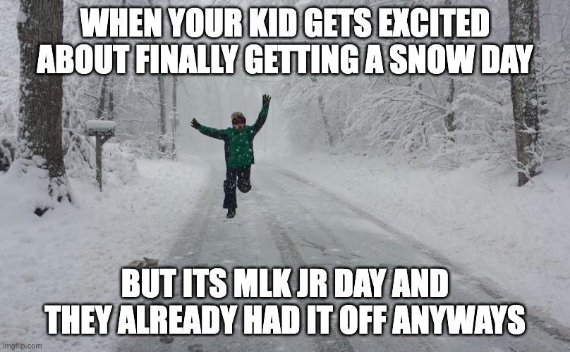 Snow day | WHEN YOUR KID GETS EXCITED ABOUT FINALLY GETTING A SNOW DAY; BUT ITS MLK JR DAY AND THEY ALREADY HAD IT OFF ANYWAYS | image tagged in snow day | made w/ Imgflip meme maker