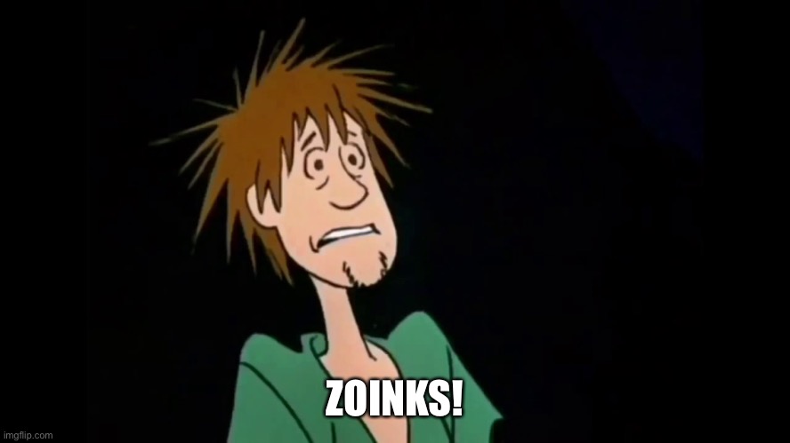 Zoinks | ZOINKS! | image tagged in zoinks | made w/ Imgflip meme maker