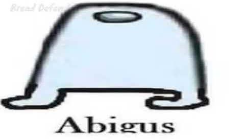 abigus Blank Meme Template