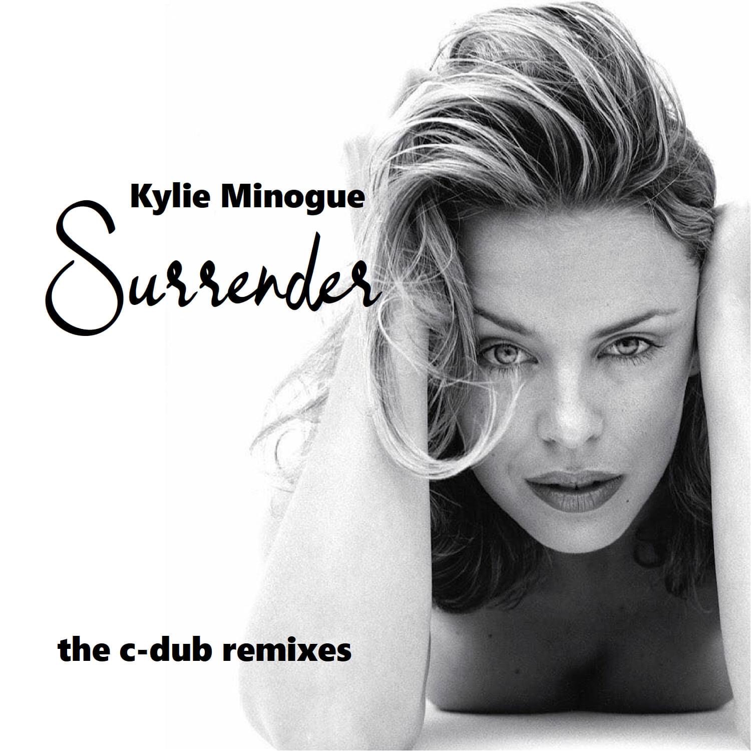 Kylie surrender Blank Meme Template