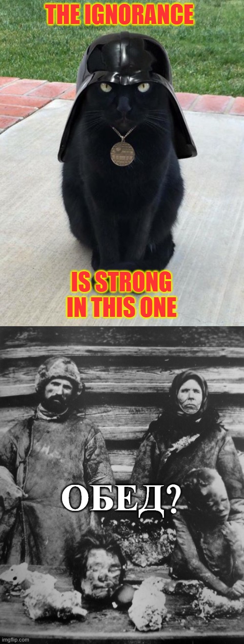 THE IGNORANCE IS STRONG IN THIS ONE ОБЕД? | image tagged in darth kitty | made w/ Imgflip meme maker