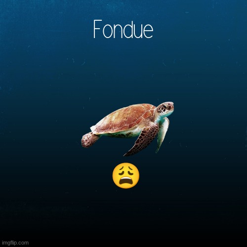 ? | 😩 | image tagged in turtle template-fondue | made w/ Imgflip meme maker