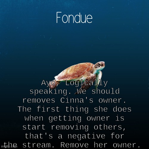 tf this bitch think she is :weary: | Ayo, Logically speaking. We should removes Cinna's owner. The first thing she does when getting owner is start removing others, that's a negative for the stream. Remove her owner. | image tagged in turtle template-fondue | made w/ Imgflip meme maker