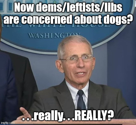 Dr Fauci | Now dems/leftists/libs are concerned about dogs? . . .really. . .REALLY? | image tagged in dr fauci | made w/ Imgflip meme maker