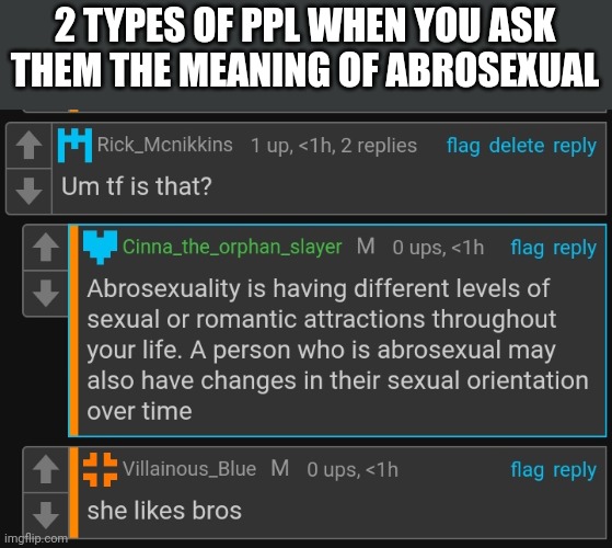 Blue's def makes more sense ngl | 2 TYPES OF PPL WHEN YOU ASK THEM THE MEANING OF ABROSEXUAL | made w/ Imgflip meme maker
