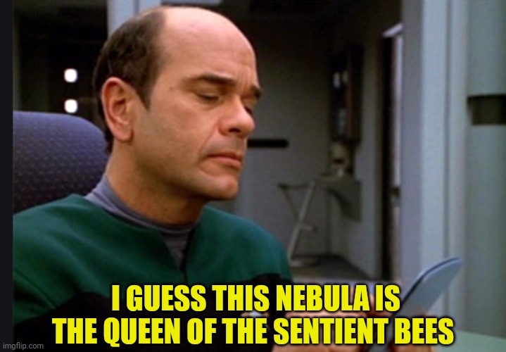 EMH doctor | I GUESS THIS NEBULA IS THE QUEEN OF THE SENTIENT BEES | image tagged in emh doctor | made w/ Imgflip meme maker