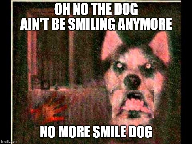 OH NO | OH NO THE DOG AIN'T BE SMILING ANYMORE; NO MORE SMILE DOG | image tagged in shitpost | made w/ Imgflip meme maker