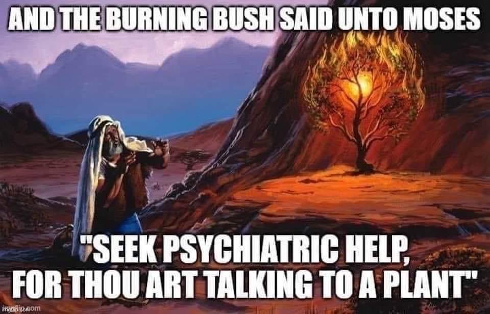 Burning bush Moses | image tagged in burning bush moses | made w/ Imgflip meme maker