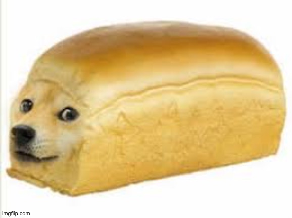 image tagged in doge bread | made w/ Imgflip meme maker
