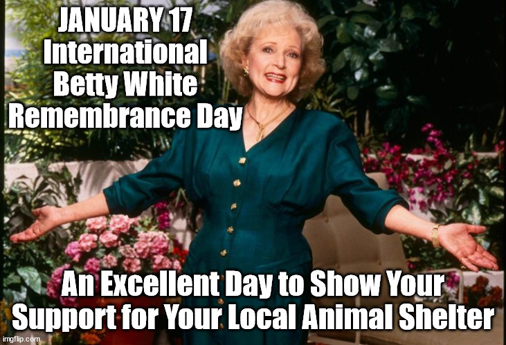 Betty White Remembrance Day | JANUARY 17
International Betty White Remembrance Day; An Excellent Day to Show Your Support for Your Local Animal Shelter | image tagged in betty white,donate,animal rescue | made w/ Imgflip meme maker