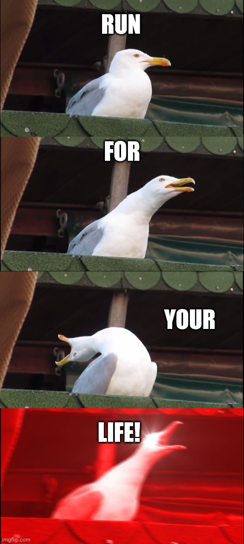 Inhaling Seagull | RUN; FOR; YOUR; LIFE! | image tagged in memes,inhaling seagull | made w/ Imgflip meme maker