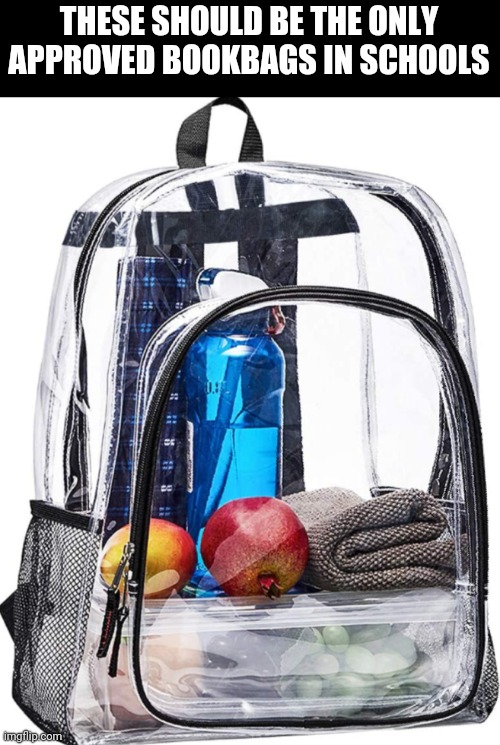 THESE SHOULD BE THE ONLY APPROVED BOOKBAGS IN SCHOOLS | image tagged in clear bookbags,reduce shoot shooting possibilities | made w/ Imgflip meme maker