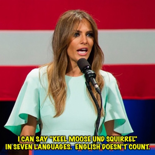 Melania Trump | I CAN SAY "KEEL MOOSE UND SQUIRREL"

IN SEVEN LANGUAGES.  ENGLISH DOESN'T COUNT. | image tagged in melania trump | made w/ Imgflip meme maker