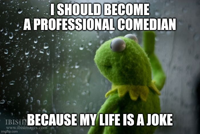 kermit window | I SHOULD BECOME A PROFESSIONAL COMEDIAN; BECAUSE MY LIFE IS A JOKE | image tagged in kermit window | made w/ Imgflip meme maker