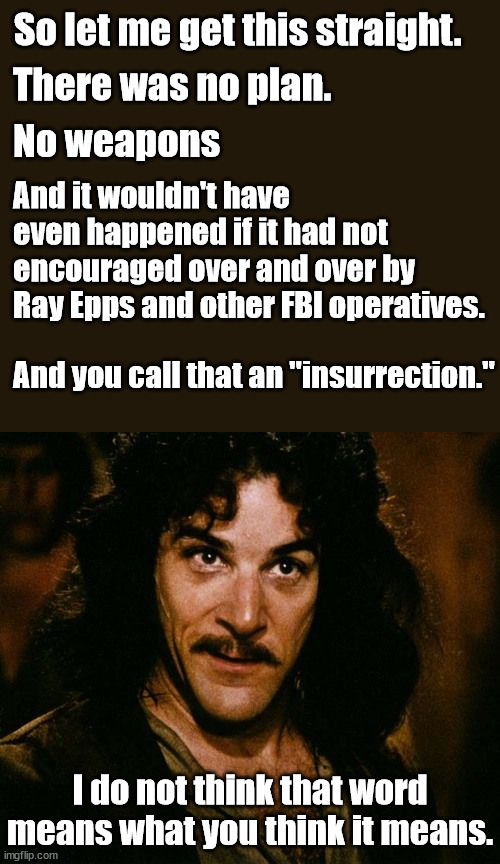 An insurrection is when people are trying to destroy the country by rioting, and murdering for months on end. | So let me get this straight. There was no plan. No weapons; And it wouldn't have even happened if it had not encouraged over and over by Ray Epps and other FBI operatives. And you call that an "insurrection."; I do not think that word means what you think it means. | image tagged in you keep using that word,insurrection | made w/ Imgflip meme maker