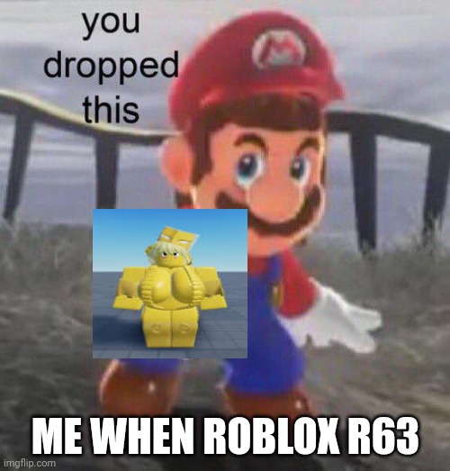 R63 be like lol | ME WHEN ROBLOX R63 | image tagged in mario you dropped this,rule 63,lol,roblox | made w/ Imgflip meme maker