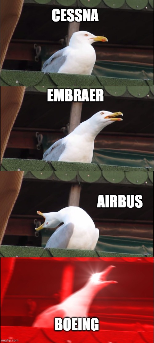 Inhaling Seagull | CESSNA; EMBRAER; AIRBUS; BOEING | image tagged in memes,inhaling seagull | made w/ Imgflip meme maker