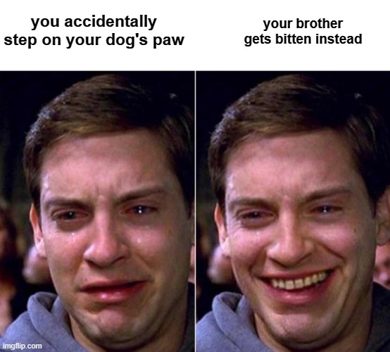 umm I guess I am sadppy??? | your brother gets bitten instead; you accidentally step on your dog's paw | image tagged in peter parker sad cry happy cry | made w/ Imgflip meme maker