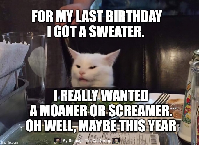 FOR MY LAST BIRTHDAY I GOT A SWEATER. I REALLY WANTED A MOANER OR SCREAMER. OH WELL, MAYBE THIS YEAR | image tagged in smudge the cat | made w/ Imgflip meme maker