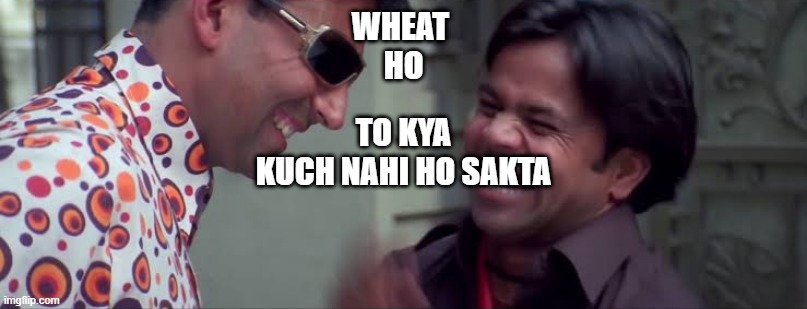 Bhai paisa ho toh kya kuch nahi ho sakta | WHEAT 
HO; TO KYA
KUCH NAHI HO SAKTA | image tagged in bhai paisa ho toh kya kuch nahi ho sakta | made w/ Imgflip meme maker