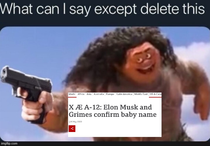 Lol | image tagged in maui pistol,elon musk,baby,grimes | made w/ Imgflip meme maker