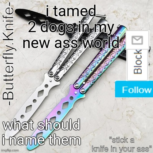 Butterfly.Knife temp | i tamed 2 dogs in my new ass world; what should i name them | image tagged in butterfly knife temp | made w/ Imgflip meme maker