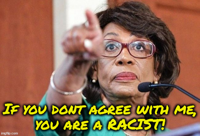 If you dont agree with me, you are a RACIST - Maxine Waters | If you dont agree with me,
you are a RACIST! | image tagged in dumbass maxine waters | made w/ Imgflip meme maker