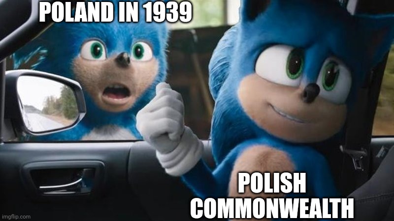 Sonic Movie Old vs New | POLAND IN 1939 POLISH COMMONWEALTH | image tagged in sonic movie old vs new | made w/ Imgflip meme maker