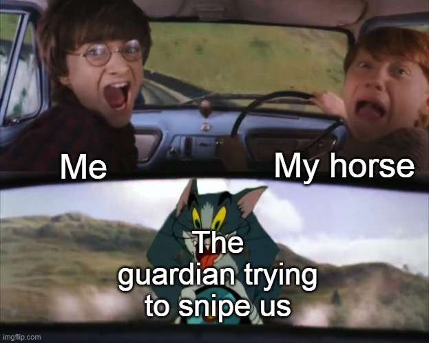 A normal day in hyrule field | My horse; Me; The guardian trying to snipe us | image tagged in tom chasing harry and ron weasly | made w/ Imgflip meme maker