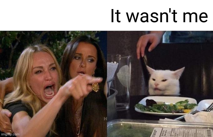 Woman Yelling At Cat Meme | It wasn't me | image tagged in memes,woman yelling at cat | made w/ Imgflip meme maker
