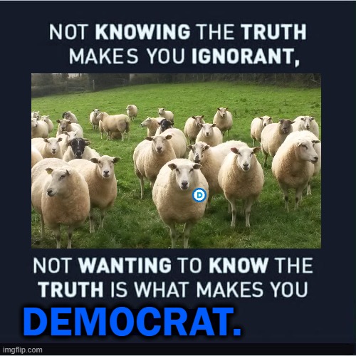Willful Ignorance / Tactical Stupidity |  DEMOCRAT. | image tagged in politics,democrats,willful ignorance,truth | made w/ Imgflip meme maker