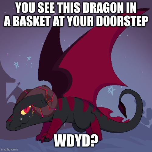 Roleplay with Ashwing | YOU SEE THIS DRAGON IN A BASKET AT YOUR DOORSTEP; WDYD? | image tagged in roleplaying,dragons,baby animal | made w/ Imgflip meme maker