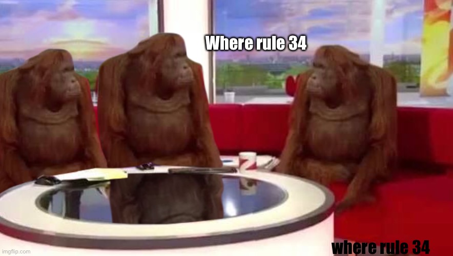 where monkey | Where rule 34 where rule 34 | image tagged in where monkey | made w/ Imgflip meme maker