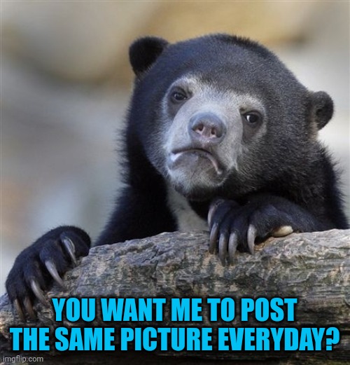 Confession Bear Meme | YOU WANT ME TO POST THE SAME PICTURE EVERYDAY? | image tagged in memes,confession bear | made w/ Imgflip meme maker