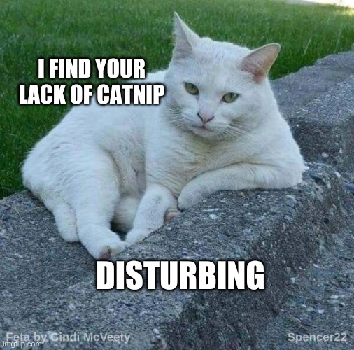 Feta | I FIND YOUR LACK OF CATNIP; DISTURBING | image tagged in feta,catnip,star wars,disturbing,what do we want,cat memes | made w/ Imgflip meme maker