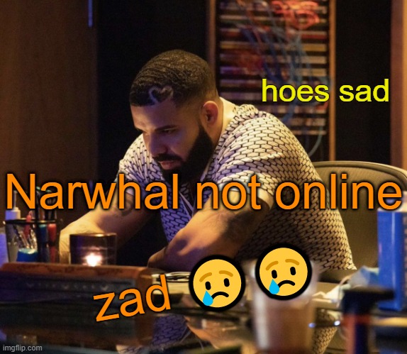 . | Narwhal not online; zad 😢😢 | image tagged in hoes sad drake | made w/ Imgflip meme maker