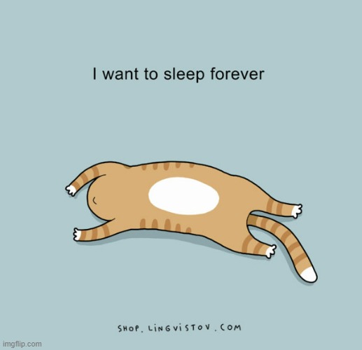 A Cat's Way Of Thinking | image tagged in memes,comics,cats,i want to believe,sleep,forever | made w/ Imgflip meme maker
