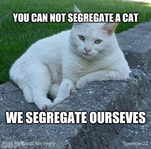 MLK would be Proud! | YOU CAN NOT SEGREGATE A CAT; WE SEGREGATE OURSEVES | image tagged in feta,mlk jr,martin luther king jr,cats,segregation,integrity | made w/ Imgflip meme maker