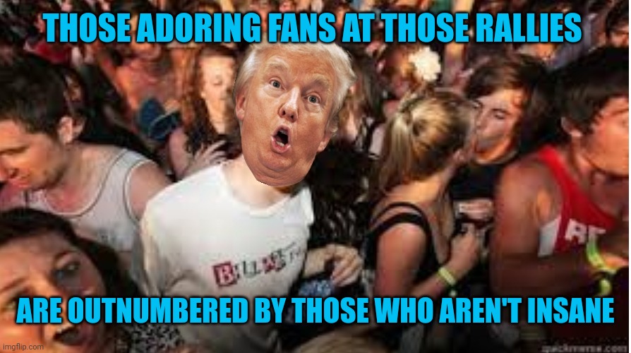 Cult | THOSE ADORING FANS AT THOSE RALLIES; ARE OUTNUMBERED BY THOSE WHO AREN'T INSANE | image tagged in suddenly clear donald | made w/ Imgflip meme maker