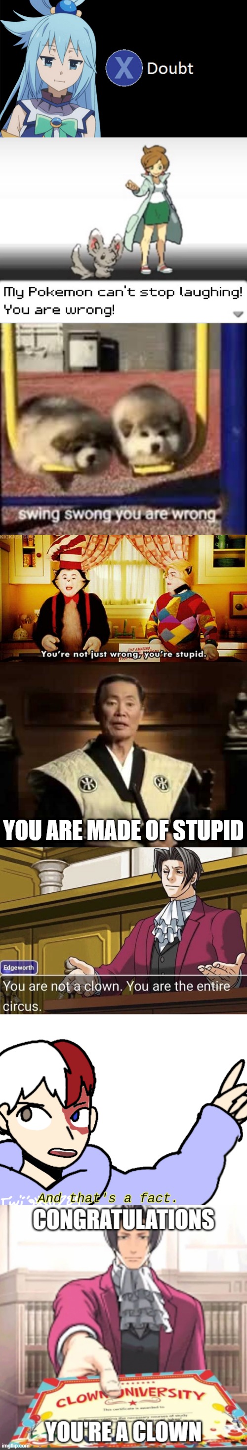 YOU ARE MADE OF STUPID | image tagged in aqua x to doubt,my pokemon can't stop laughing you are wrong,swing swong,you're not just wrong you're stupid | made w/ Imgflip meme maker