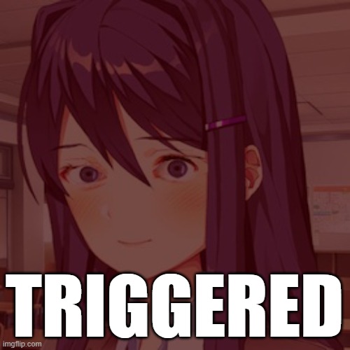 Doki Doki Yuri | TRIGGERED | image tagged in doki doki yuri | made w/ Imgflip meme maker