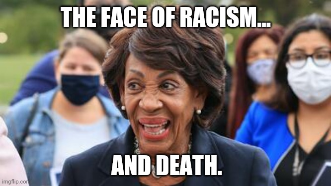 Her face makes for a good Halloween mask. | THE FACE OF RACISM... AND DEATH. | image tagged in memes | made w/ Imgflip meme maker