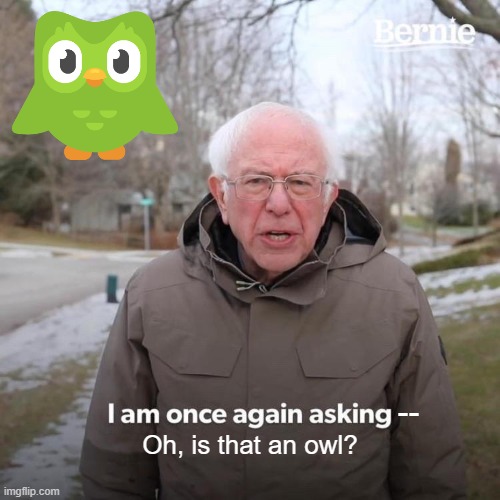 Bernie I Am Once Again Asking For Your Support Meme | --; Oh, is that an owl? | image tagged in memes,bernie i am once again asking for your support | made w/ Imgflip meme maker