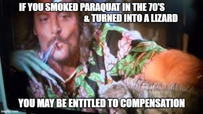 Paraquat | IF YOU SMOKED PARAQUAT IN THE 70'S                                             & TURNED INTO A LIZARD; YOU MAY BE ENTITLED TO COMPENSATION | image tagged in funny | made w/ Imgflip meme maker