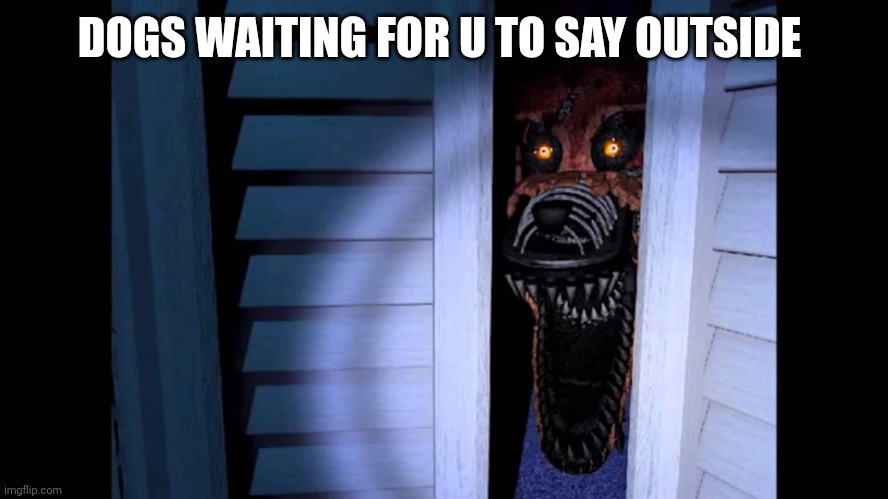 Foxy FNaF 4 | DOGS WAITING FOR U TO SAY OUTSIDE | image tagged in foxy fnaf 4 | made w/ Imgflip meme maker
