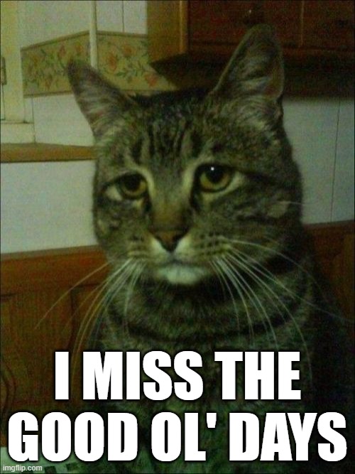 Depressed Cat Meme | I MISS THE GOOD OL' DAYS | image tagged in memes,depressed cat | made w/ Imgflip meme maker