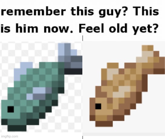 old fish new fish | image tagged in old,new,minecraft,fish | made w/ Imgflip meme maker