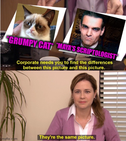 -Both. As one. | *GRUMPY CAT*; *MAYA'S SCRIPTOLOGIST* | image tagged in memes,they're the same picture,funny cats,grumpy cat,maya,sign language | made w/ Imgflip meme maker