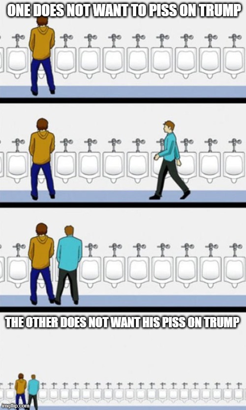 Bathroom | ONE DOES NOT WANT TO PISS ON TRUMP THE OTHER DOES NOT WANT HIS PISS ON TRUMP | image tagged in bathroom | made w/ Imgflip meme maker