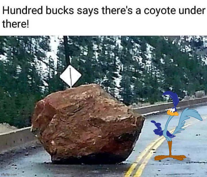 Rock slide ..... or is it? | image tagged in road runner,wile e coyote | made w/ Imgflip meme maker
